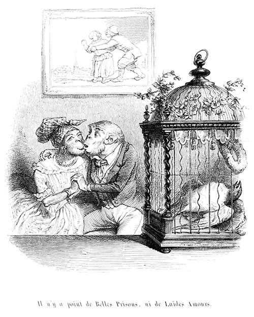 A birds lies dead inside a cage while monkeys are kissing in the background.