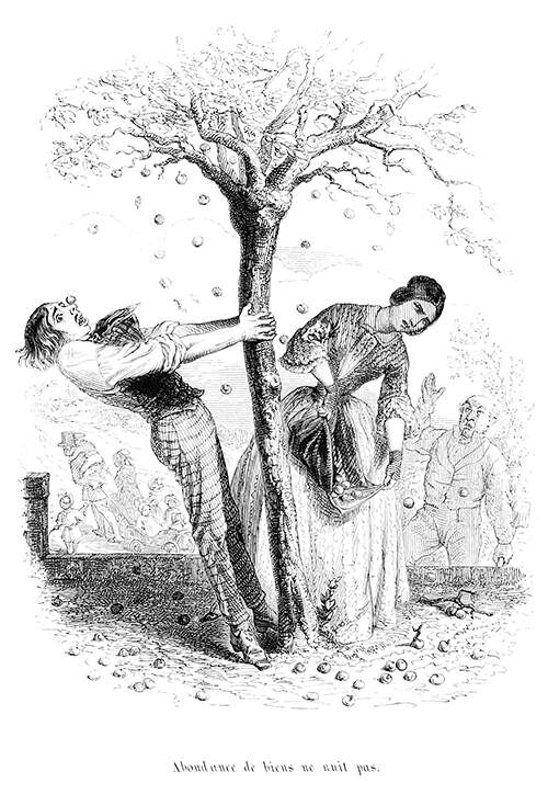 A man shakes an apple tree laden with fruit, which a woman gathers in her apron