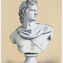 Bust copied from Apollo Belvedere