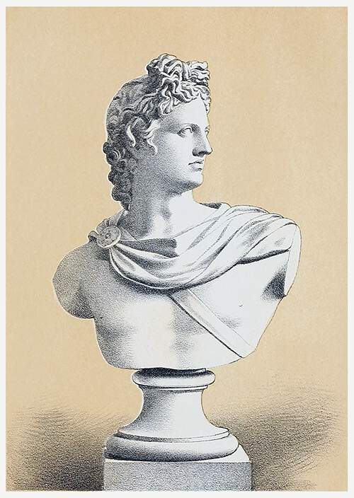Bust copied from Apollo Belvedere