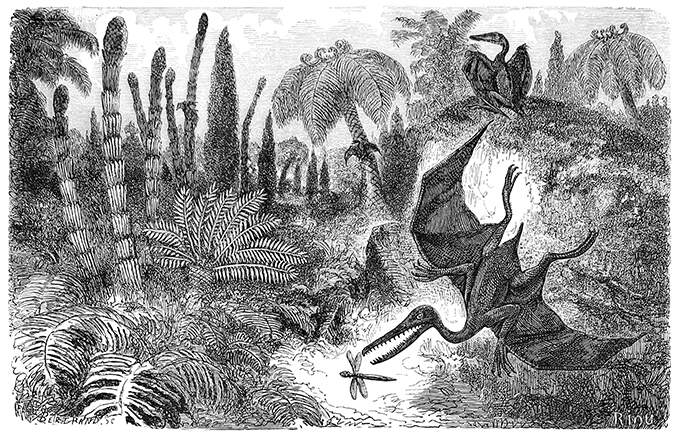 View of the Earth in the Early Jurassic epoch showing a flying pterodactylus