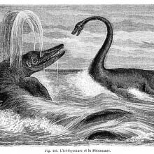 An ichthyosaur and a plesiosaurus are facing each other in the sea
