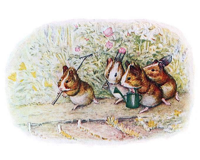 Four guinea pigs walk down a garden path carrying gardening tools