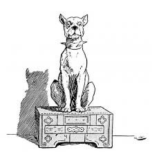 A dog wearing a spiked collar is sitting on a chest, looking at the viewer