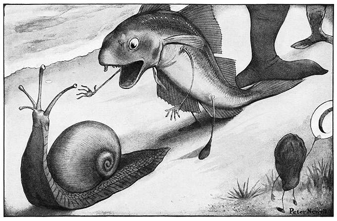 A whiting walks behind a snail and shouts out with its mouth wide open