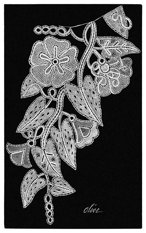Lace design showing convolvulus flowers, leaves, and tendrils