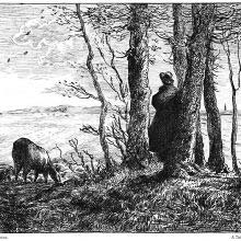 A man stands in a small clump of trees, looking at the horizon beyond the fields