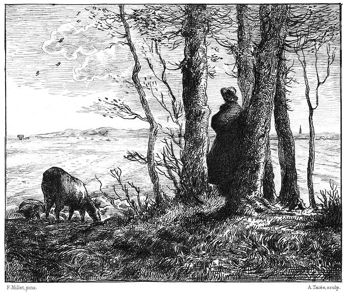 A man stands in a small clump of trees, looking at the horizon beyond the fields