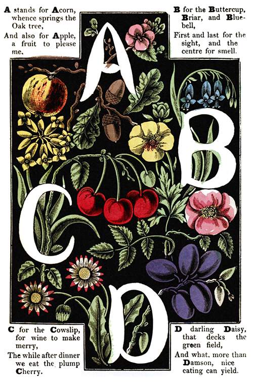 The letters A, B, C, D are drawn in white over a background of plants and fruit