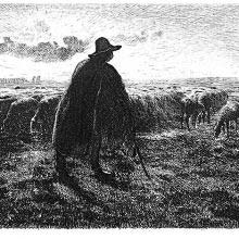A shepherd stands with his flock in a level landscape in the late afternoon