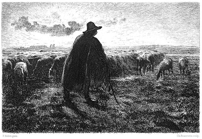A shepherd stands with his flock in a level landscape in the late afternoon
