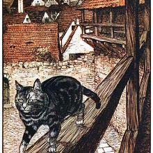 A cat strolls on the wooden railing on the outside second floor walkway