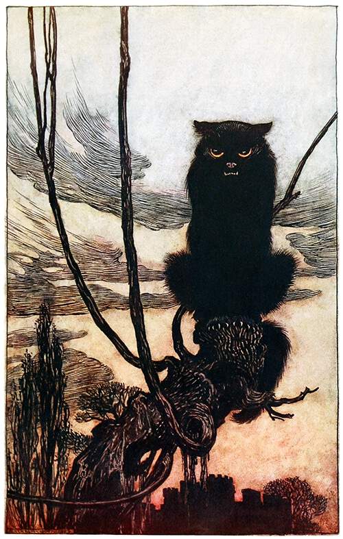 A sullen-looking black cat sits on the branch of a willow tree
