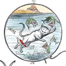 A cat swims under water among astonished fish