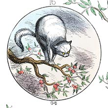 A cat with fiery eyes stands arching her back on a branch of an apple tree