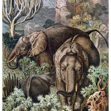 Two adult elephants and a calf can be seen standing amid the African savanna