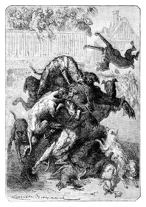 A bear is fighting a pack of dogs with the strength born of despair in an arena