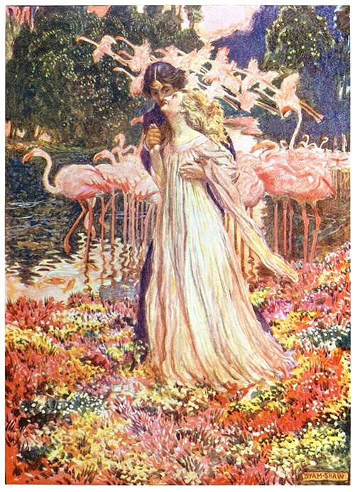 A man embraces the woman standing before him on a riverbank with flamingos in the background