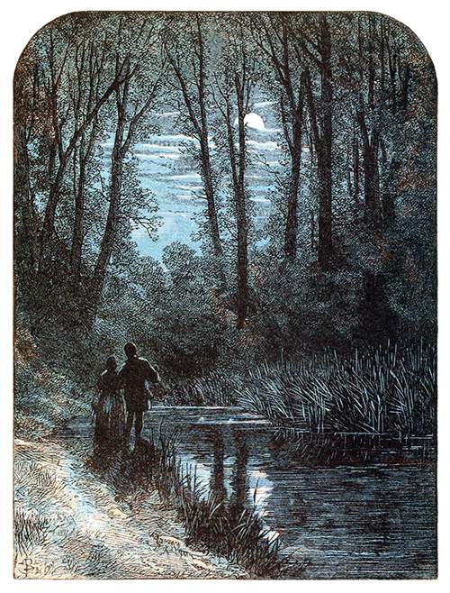 A couple stands on the bank of a stream and looks at the moon through the trees