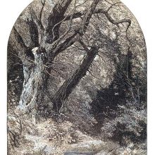 Woodland view with an old tree overlooking a pond in late spring or early summer