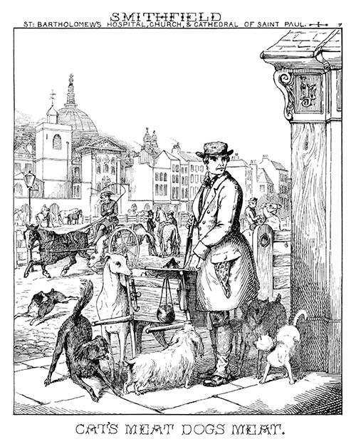 A man holding knife stands at a street corner in front a hand barrow surrounded by dogs