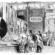 Ceylon department at the Great Exhibition of 1851 with visitors looking at items on display