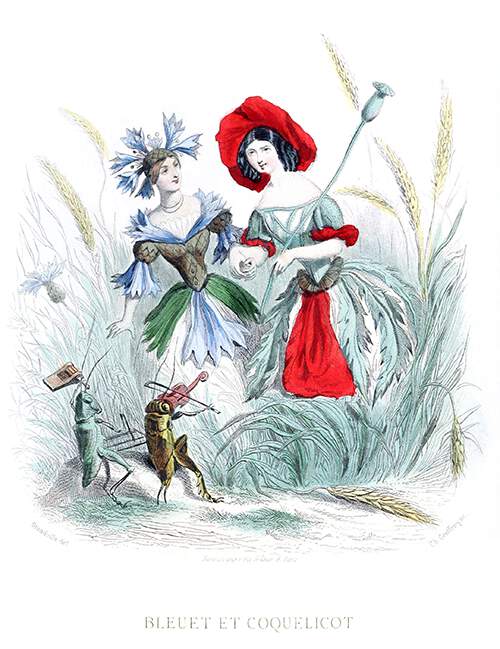 A cornflower and a poppy are depicted as women holding hands among weeds and wheat ears