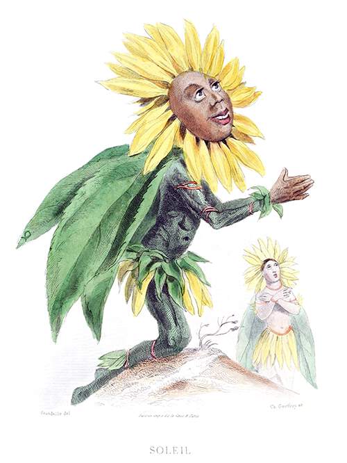 A sunflower is depicted as a kneeling male figure looking at the sky with his hands together