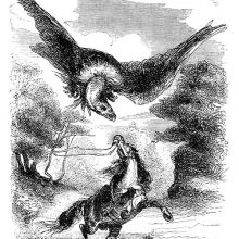 A horse rears up to defend itself against an enormous bird circling above its head