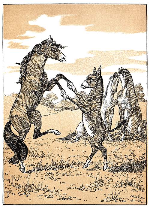 A mare and a donkey are dancing together in a pasture standing on their hind legs