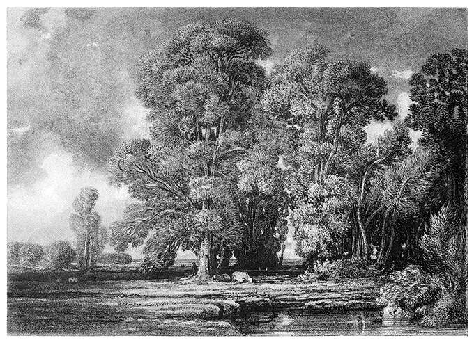 View of a level landscape with a clump of high trees and a pond in the foreground