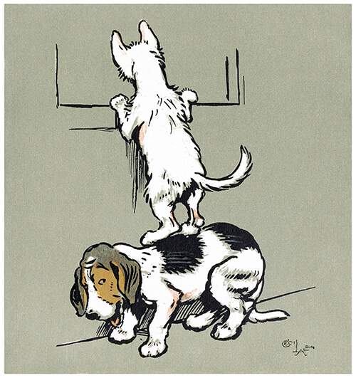 A dog stands on its hind legs on another's back in order to look through a window