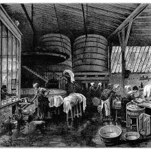 Interior view of a public Wash house showing women doing laundryand large wooden vats