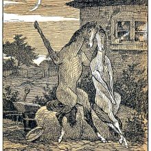 Two horses are sitting outside a house for a romantic date by moonlight