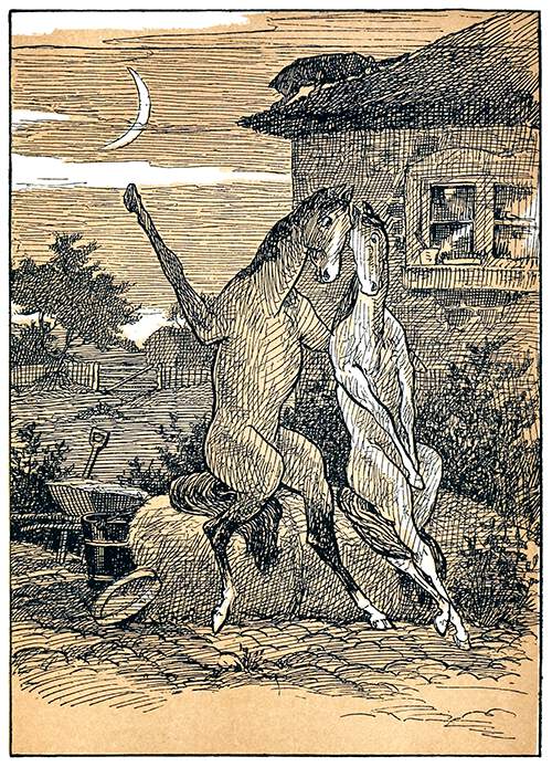 Two horses are sitting outside a house for a romantic date by moonlight