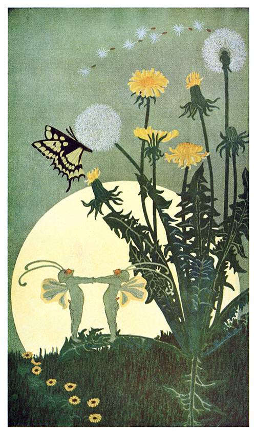 Two insect-like fairies dance holding hands in the moonlight on the leave of blooming dandelion