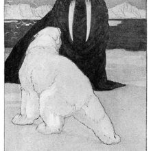 A walrus and a polar bear face each other on an ice field while assuming bellicose postures