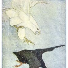 In a snowy sky, a great hawk is swooping down on a panic-stricken drake
