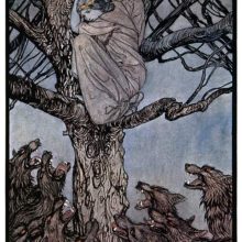 A distressed woman has found refuge in a tree from a horde of wolves snarling below her