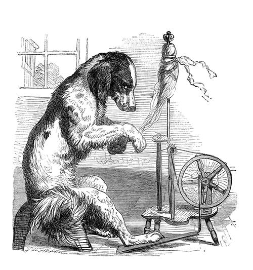 A dog is operating a spinning wheel while giving the viewer an annoyed sideways look