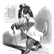 A dog is walking down the street in gentleman's clothes, looking at the viewer through his monocle