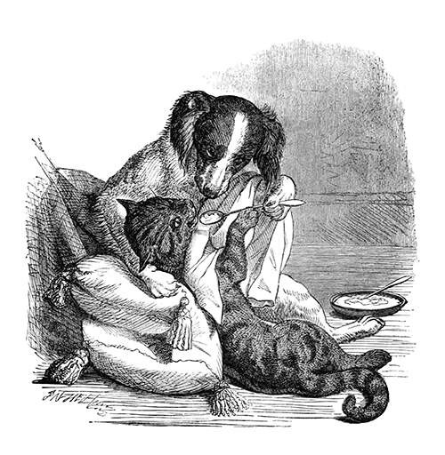 A dog is gently spoon feeding a cat reclining on a cushion