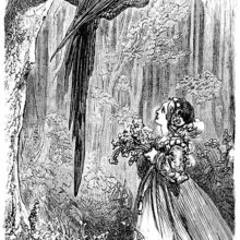 A young girl stands under a tree, looking up at a large bird sitting on a branch