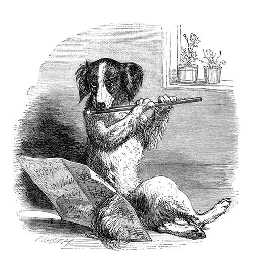 A dog is sitting on the floor, playing the flute with sheet music spread out in front of him
