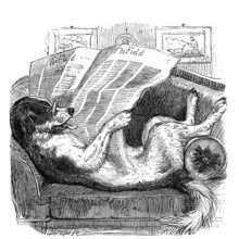 A dog is comfortably lying on a couch, reading a newspaper with his glasses on