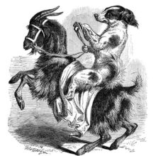 A dog holds the reins of the rearing up goat he is riding while looking sideways at the viewer