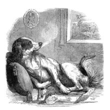 A dog is reclining on a cushion, leisurely smoking a long, chibouk-like pipe