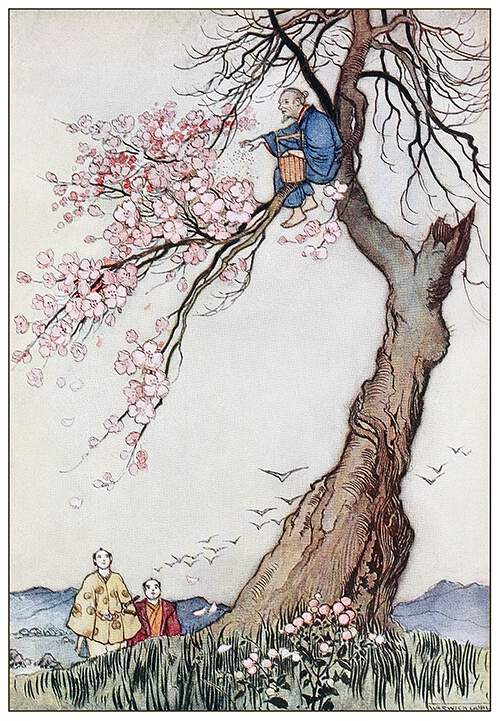 An old man is sitting on the blooming branch of a cherry tree and scatters ashes from a basket