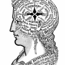 Plate showing a woman’s head seen from the side and divided according astrological factors