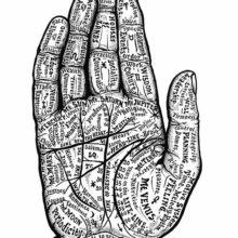View of a hand divided and labeled according to esoteric theories pertaining to palmistry
